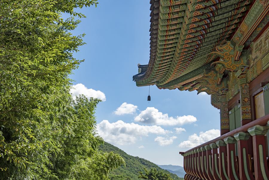 버스타고 나혼즐 부산여행&40;19& 41; 범어사_공공누리